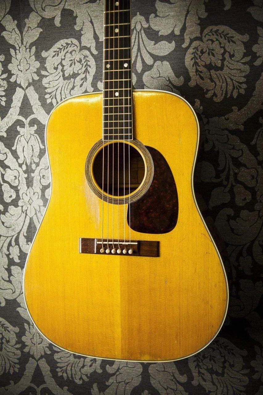 USED - Levin Ls-18 Acoustic (1963 - Super Goliath Model 1855)