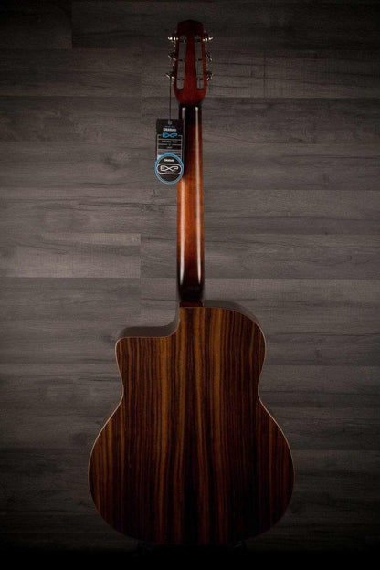 Eastman DM1 Gypsy Jazz acoustic guitar