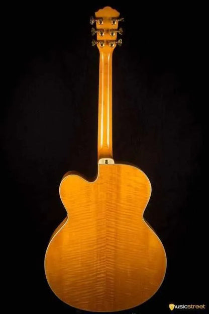 USED - Washburn J10 Natural - 1995
