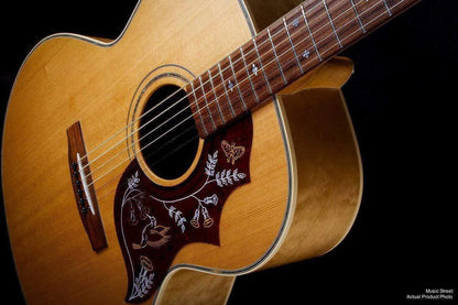 USED - Landola J-855 Jumbo Acoustic Guitar