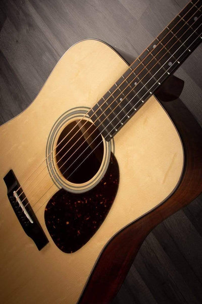 Eastman E6D-TC