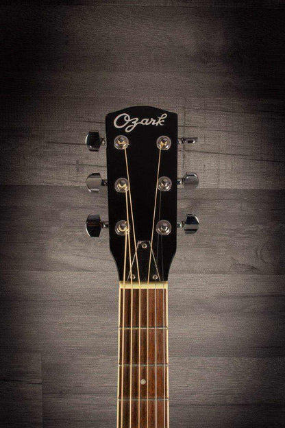 USED - Ozark 3515E Resonator Black Electro Cutaway