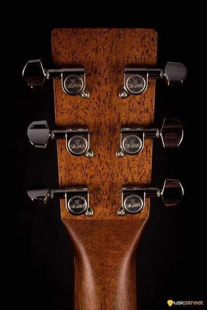 USED - Sigma Sig-GME including TGI hard case