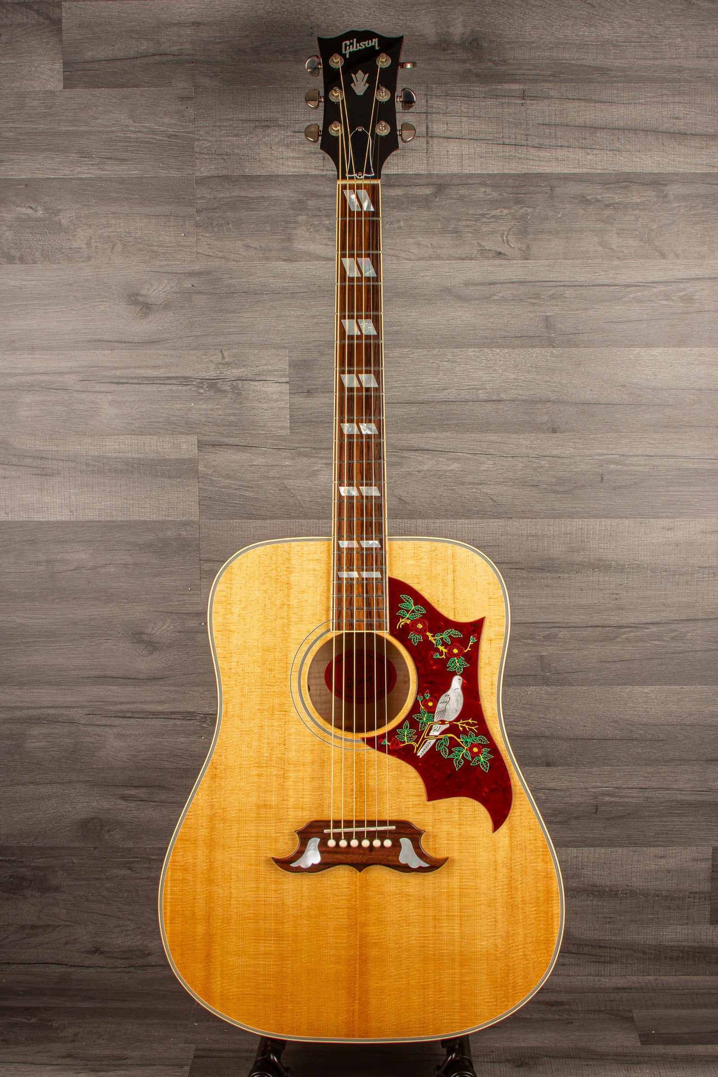 USED - Gibson Dove Acoustic Guitar