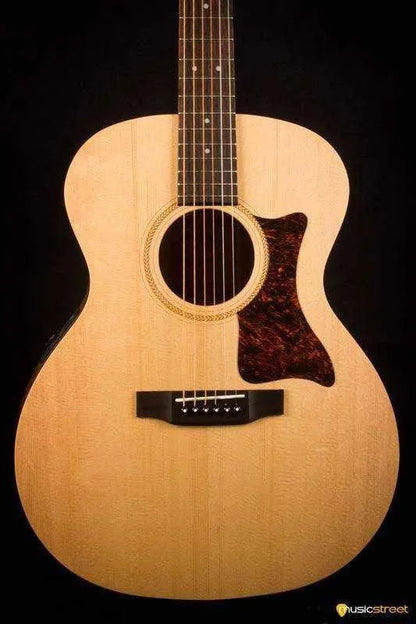 USED - Sigma Sig-GME including TGI hard case