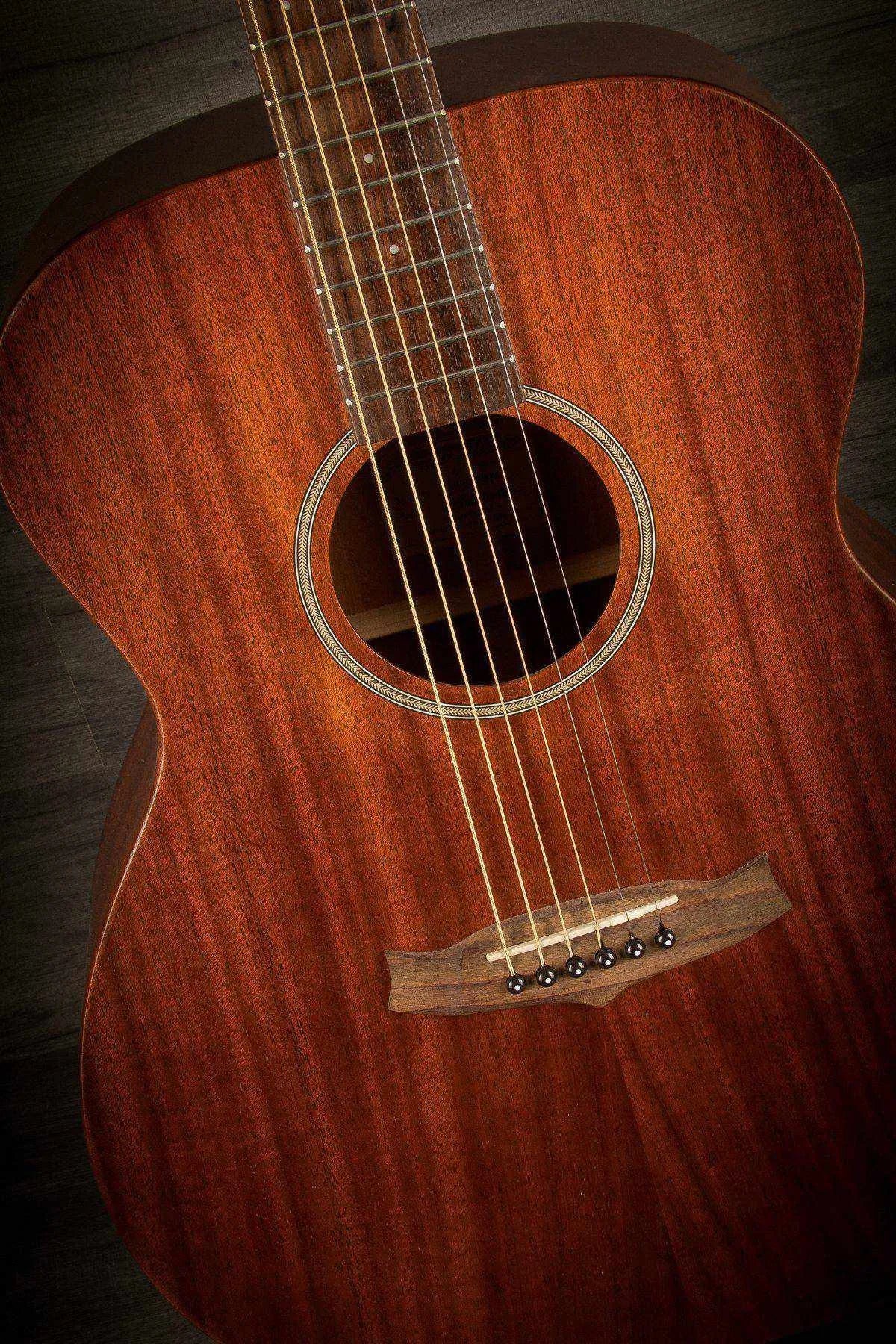 Tanglewood TW130SM, Acoustic Guitar