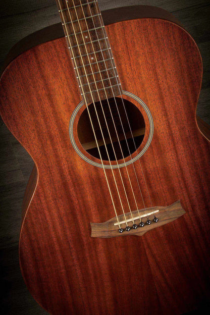 Tanglewood TW130SM, Acoustic Guitar