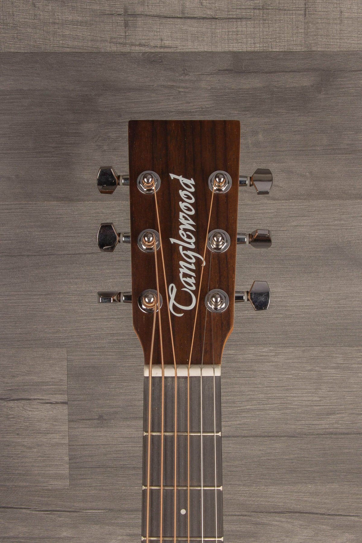 Tanglewood TW2 TE