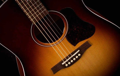 Seagull Entourage Acoustic Guitar, Autumn Burst Q1T