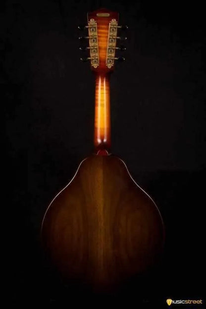 USED - National Resophonic Rm1 Resonator Mandolin