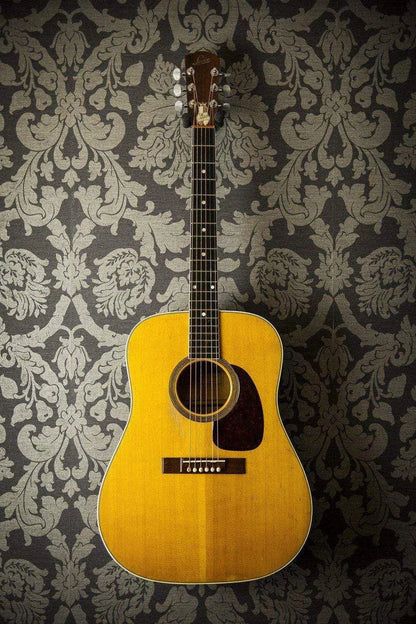 USED - Levin Ls-18 Acoustic (1963 - Super Goliath Model 1855)