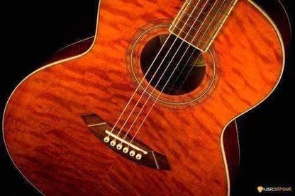 USED - Fender Gdo 300 Acoustic Guitar