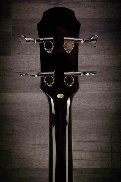 Aria Feb-30M Black Acoustic - Bass Guitar