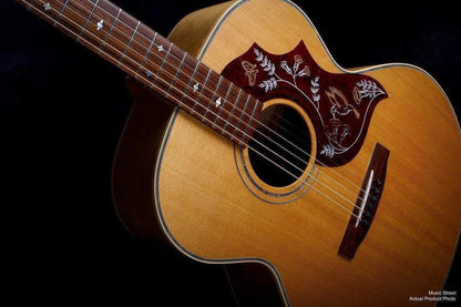 USED - Landola J-855 Jumbo Acoustic Guitar