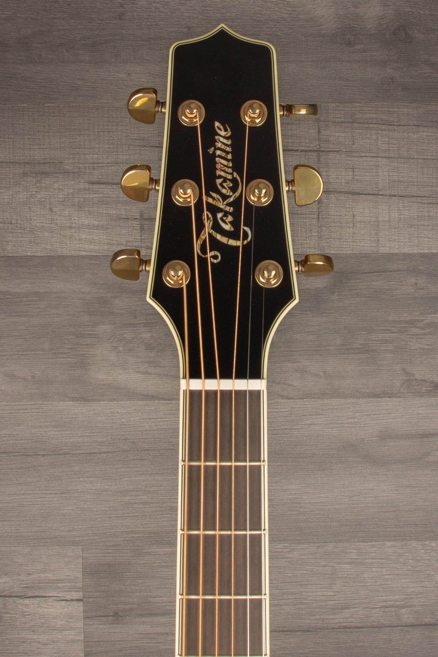 Takamine Limited LTD2022