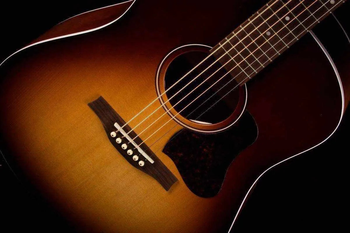 Seagull Entourage Acoustic Guitar, Autumn Burst Q1T
