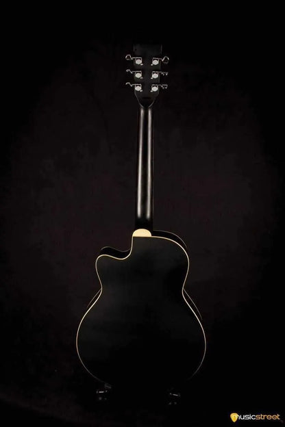 USED - Countryman Acoustic Resonator Guitar