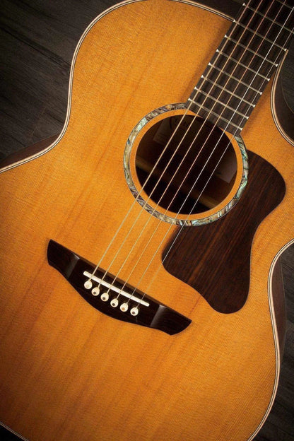 Faith FG1-NCE Neptune Electro Legacy Series