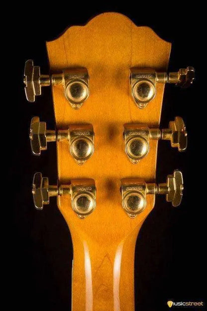 USED - Washburn J10 Natural - 1995